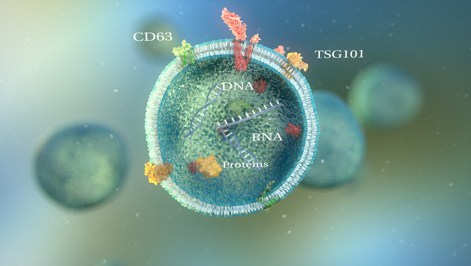 Tiêm Meso Exosome mang lại hiệu quả trẻ hóa cao